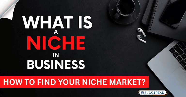 what is a niche in business